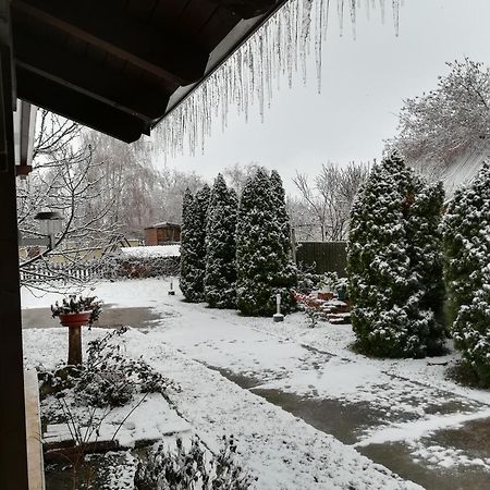 Holt-Tisza Vendeghaz Hotell Szeged Exteriör bild