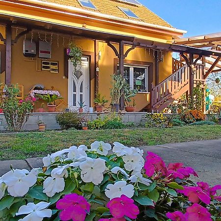 Holt-Tisza Vendeghaz Hotell Szeged Exteriör bild
