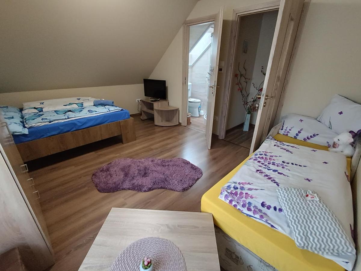 Holt-Tisza Vendeghaz Hotell Szeged Exteriör bild