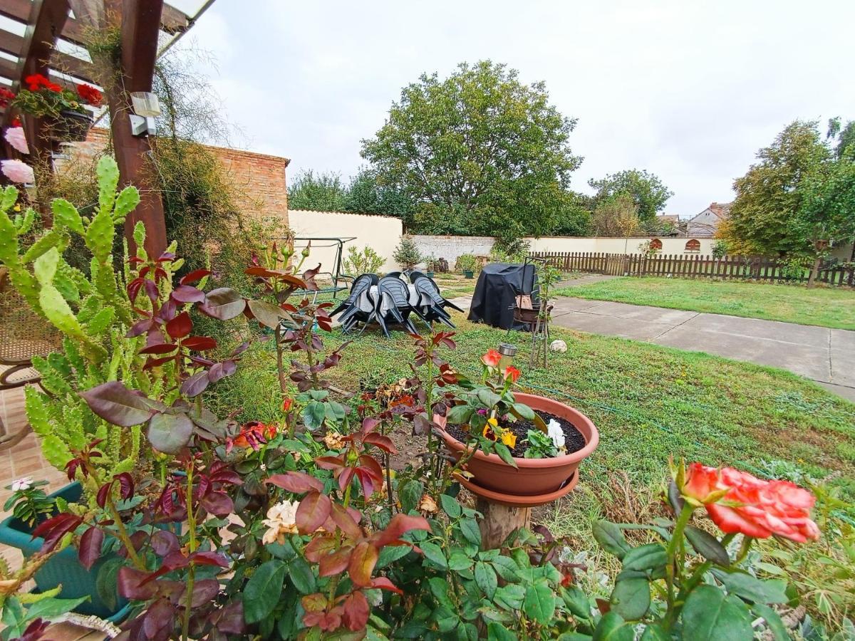 Holt-Tisza Vendeghaz Hotell Szeged Exteriör bild