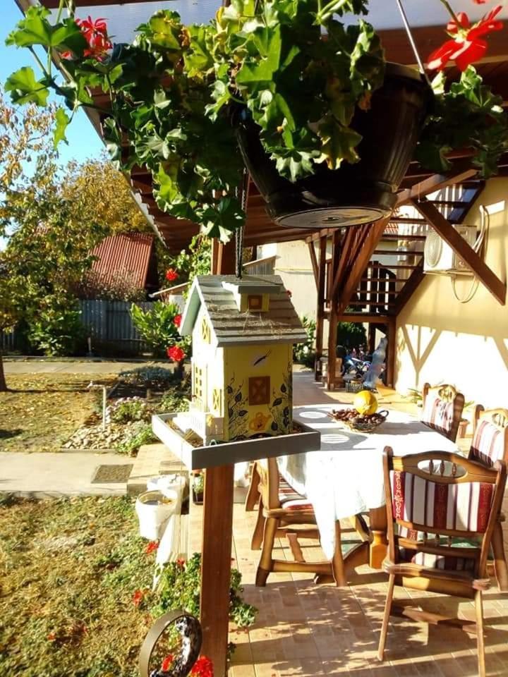 Holt-Tisza Vendeghaz Hotell Szeged Exteriör bild