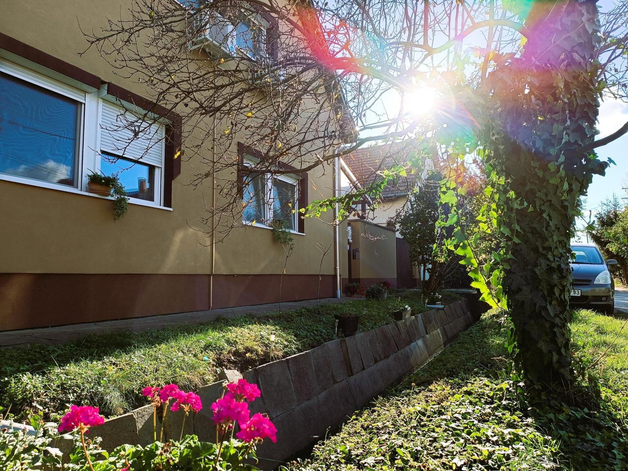 Holt-Tisza Vendeghaz Hotell Szeged Exteriör bild