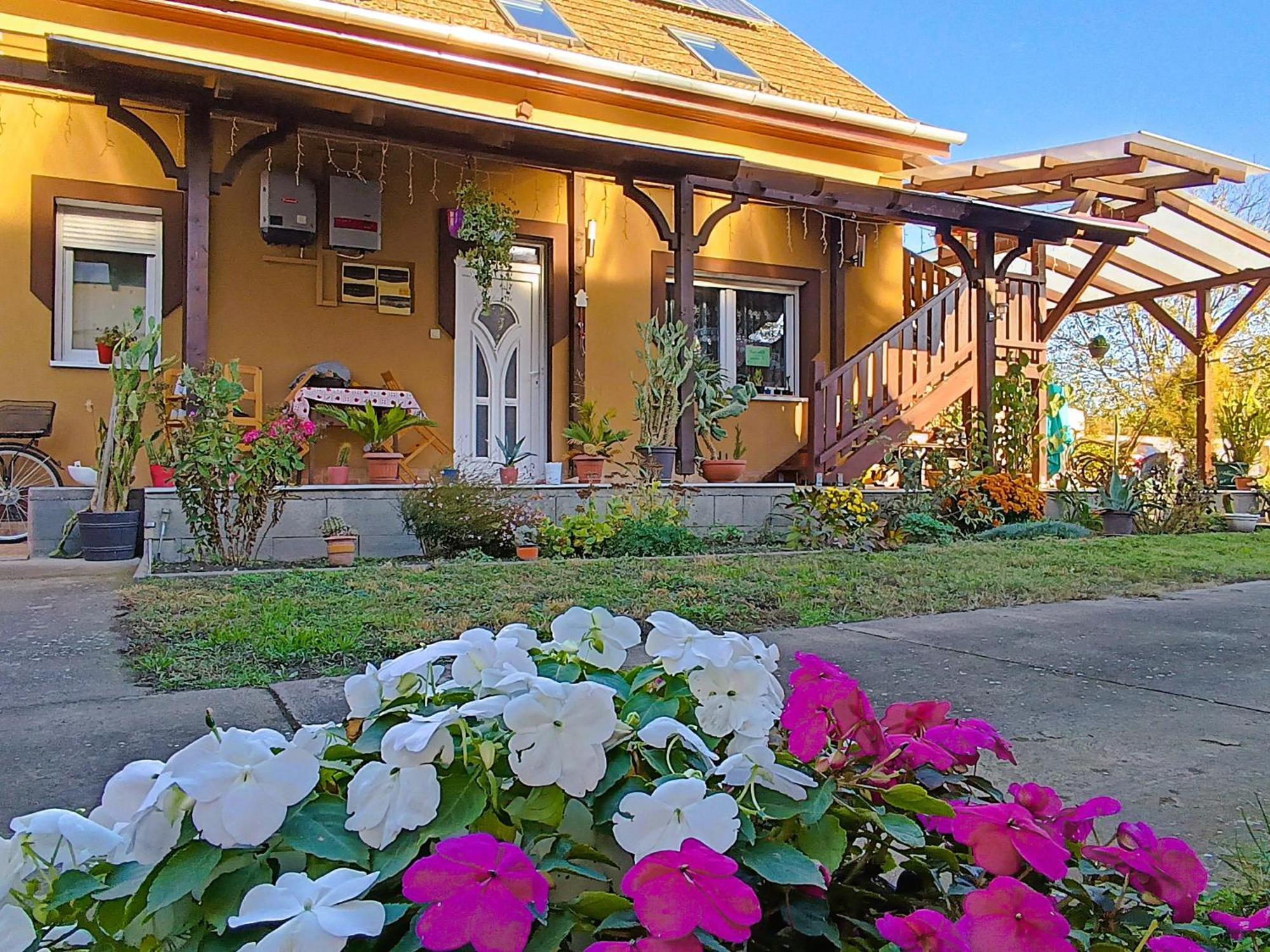 Holt-Tisza Vendeghaz Hotell Szeged Exteriör bild