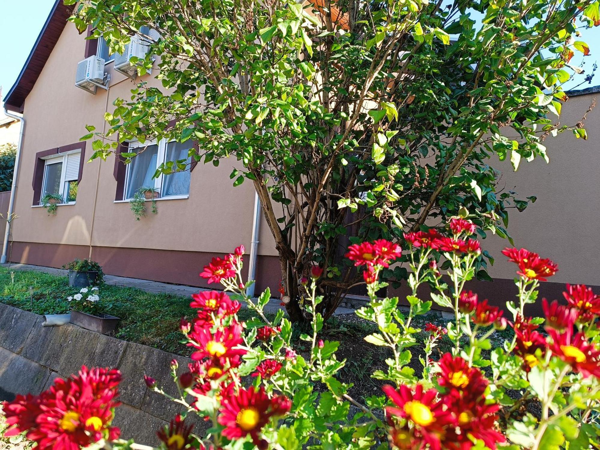 Holt-Tisza Vendeghaz Hotell Szeged Exteriör bild